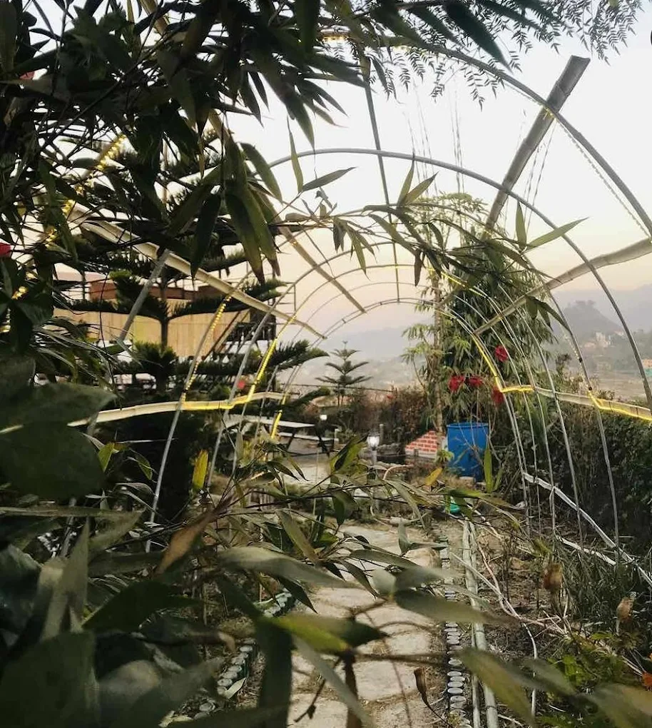 Evening view of Peace Garden Restaurant outdoor garden seating Thecho